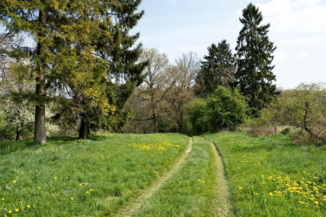 Photo of Others in Rozoy-sur-Serre