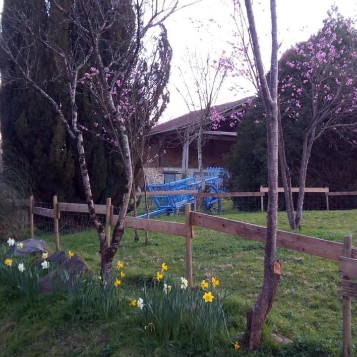 Photo of Outdoor in Saulgond