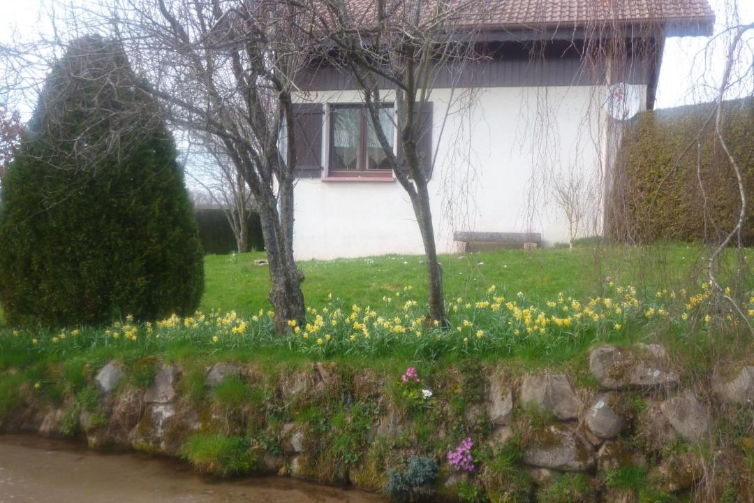 Photo of Buildings in Gerbepal