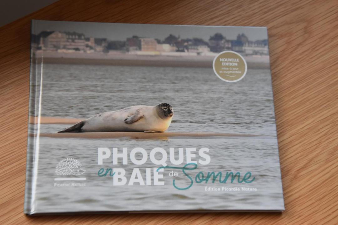 Photo of Others in Saint-Valery-sur-Somme