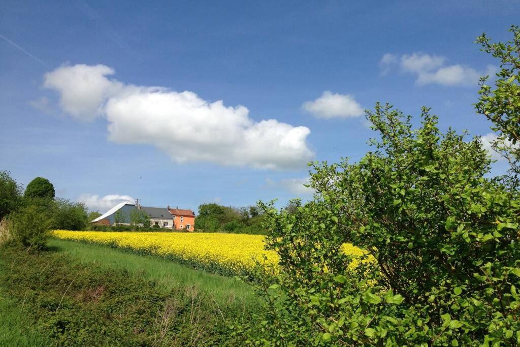 Photo of Outdoor in Rozoy-sur-Serre