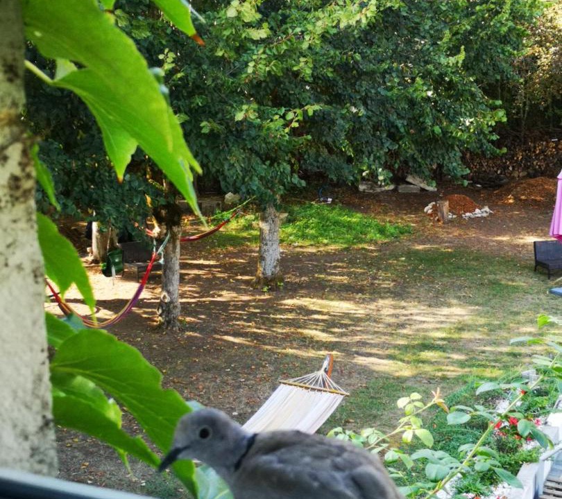 Photo of Others in Nuits