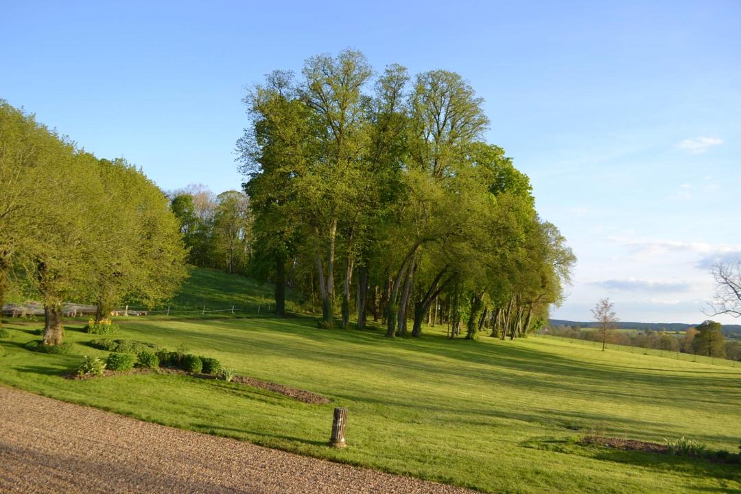 Photo of Others in Saint-Jean-aux-Amognes