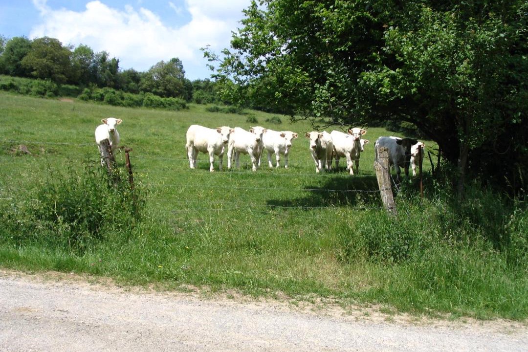 Photo of Others in Hagnicourt