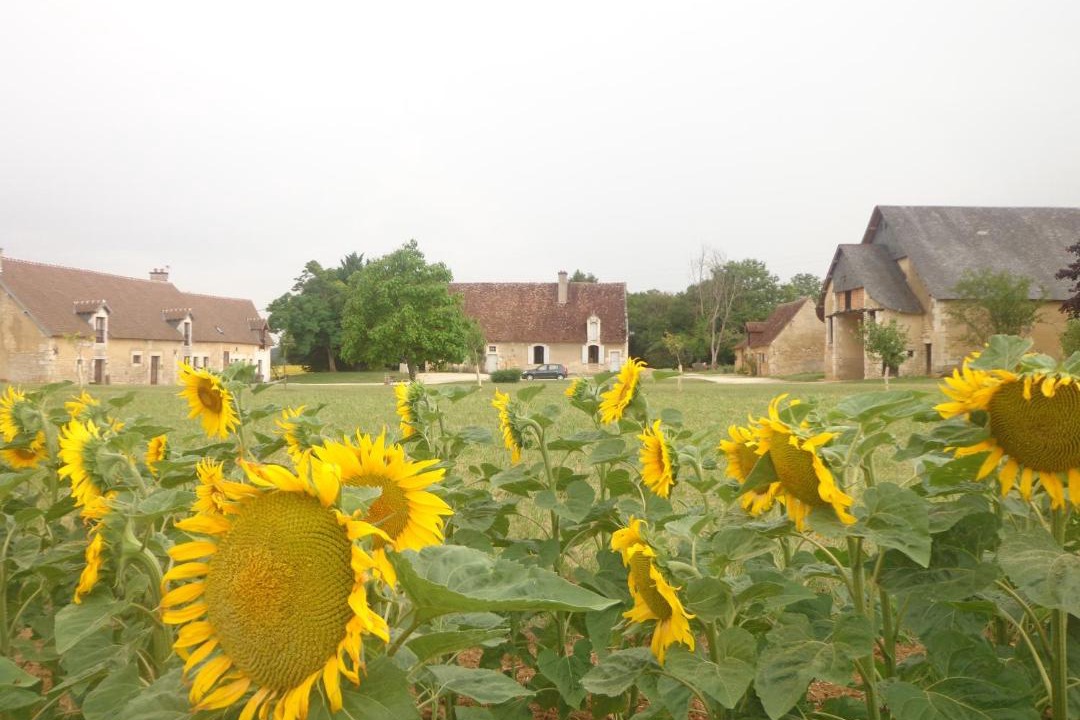 Photo of Others in Sainte-Solange