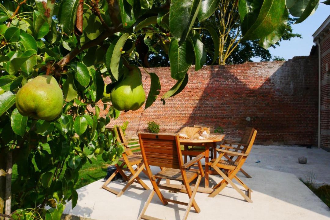 Photo of Patio Balcony in Boussieres-en-Cambresis