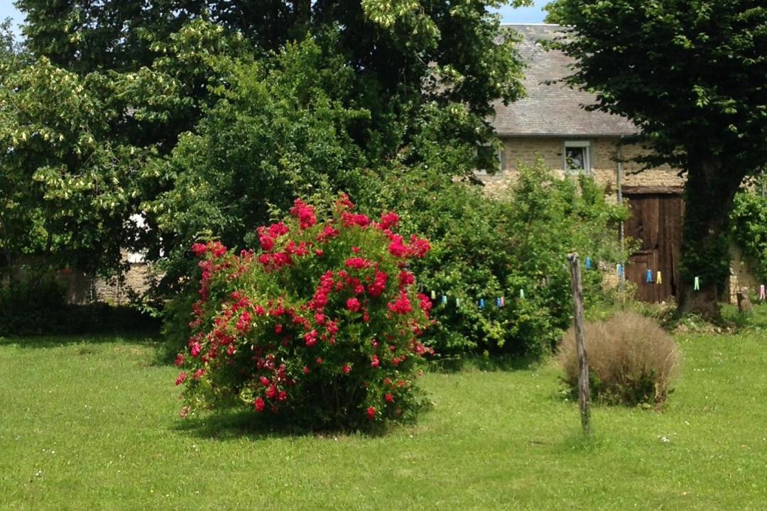 Photo of Others in Alluy