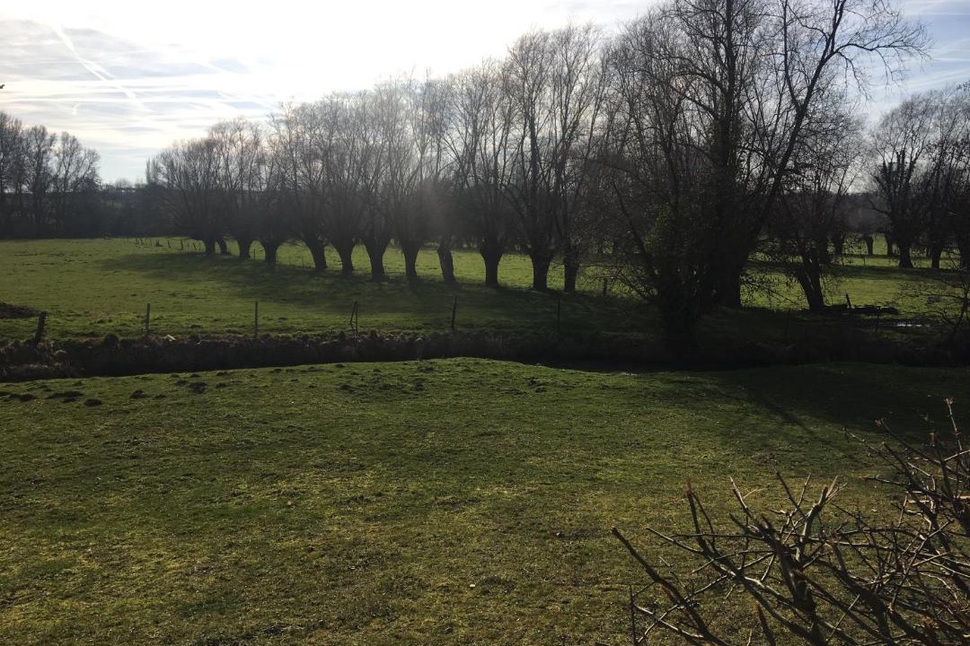 Photo of Others in Louvignies-Quesnoy