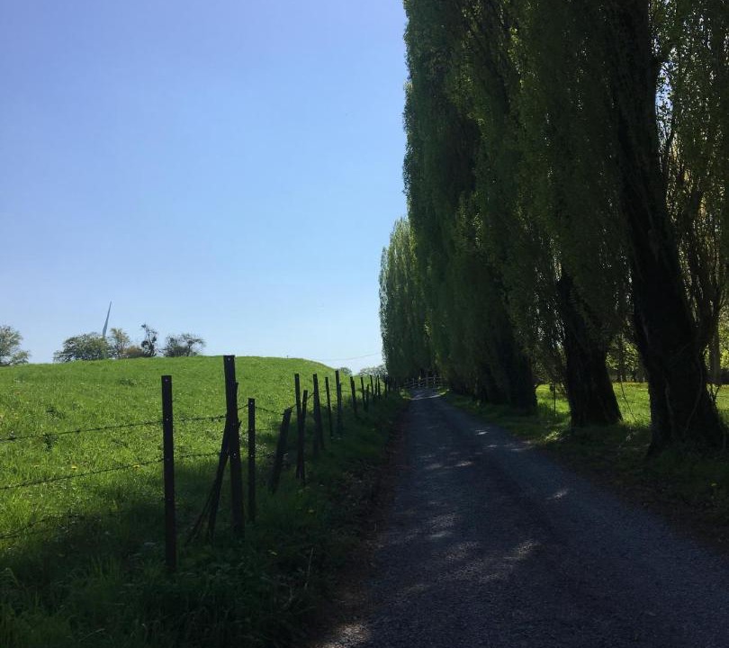 Photo of Others in Louvignies-Quesnoy