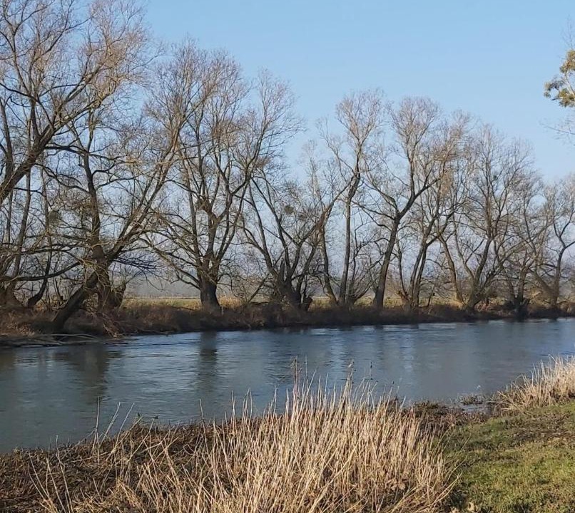 Photo of Outdoor in Sorcy-Saint-Martin