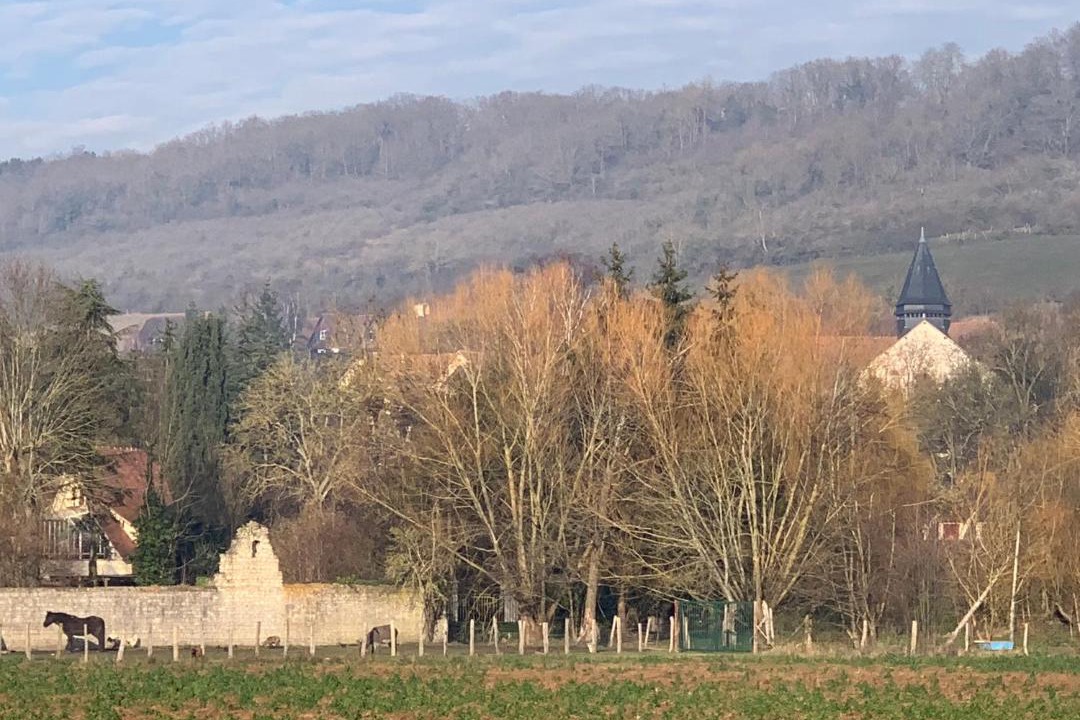 Photo of Others in Giverny