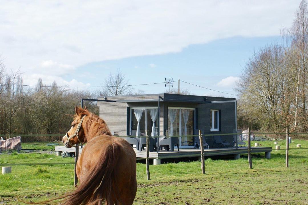 Photo of Others in Saint-Fargeau