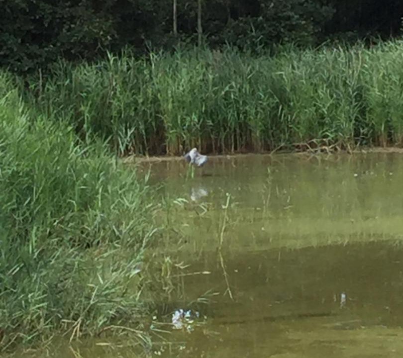 Photo of Outdoor in Wimille