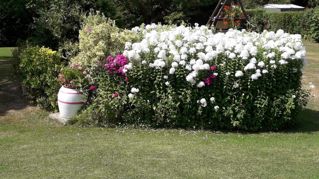 Photo of Outdoor in Wimille