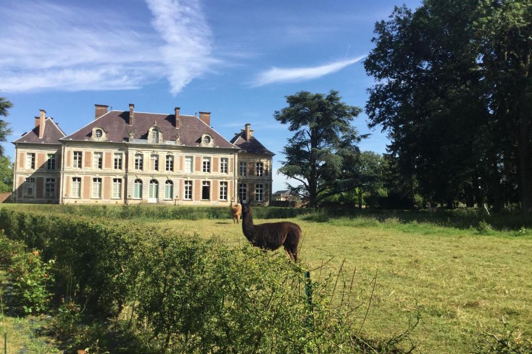 Photo of Others in Courcelles-sous-Moyencourt