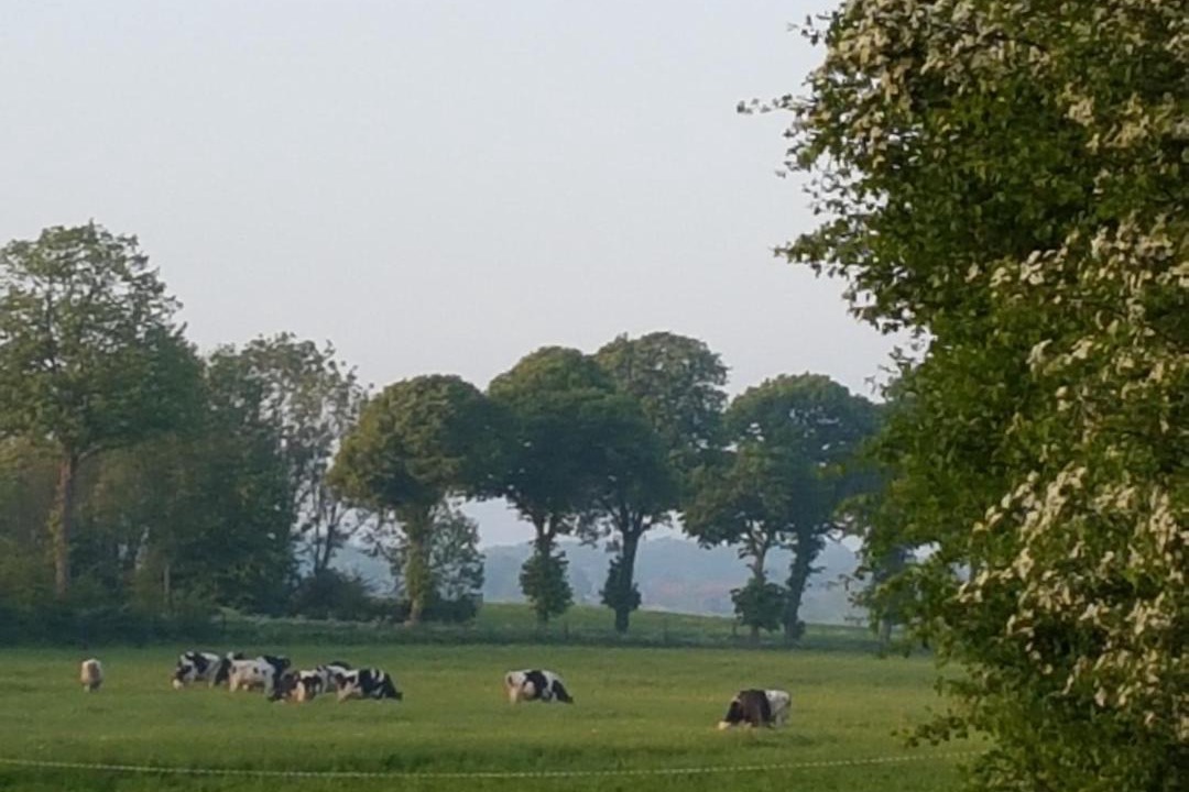 Photo of Others in Saint-Riquier