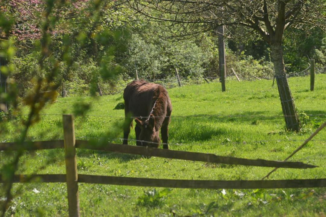 Photo of Others in Doudeville