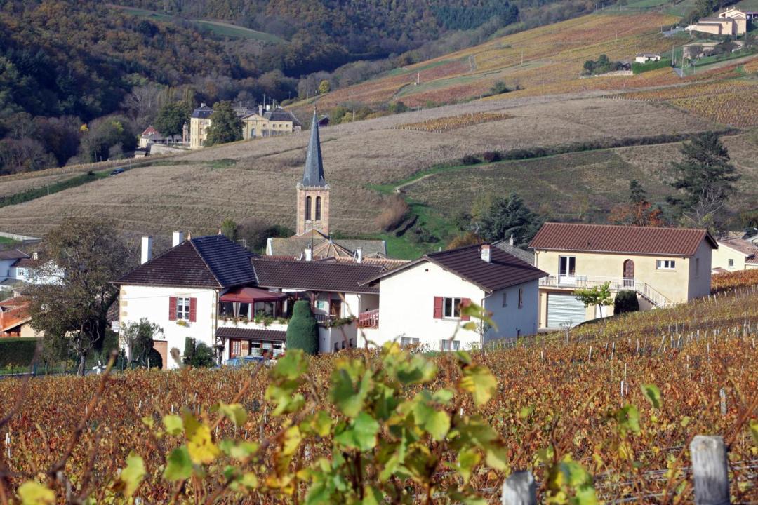 Photo of Buildings in Jullie