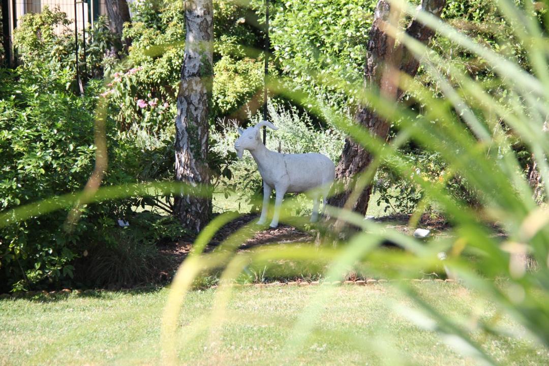 Photo of Others in Bussy-Saint-Martin