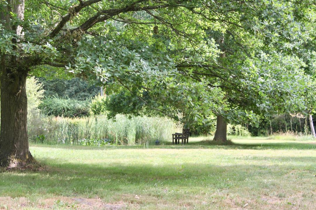 Photo of Others in Adainville