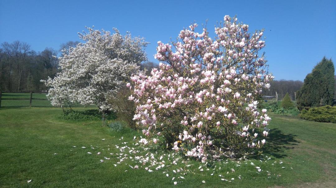 Photo of Outdoor in Montroty