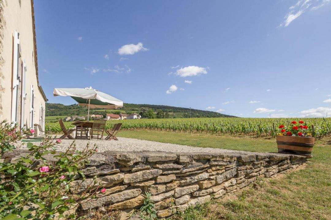 Photo of Others in Santenay