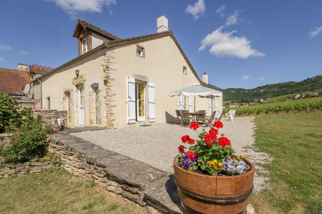 Photo of Buildings in Santenay