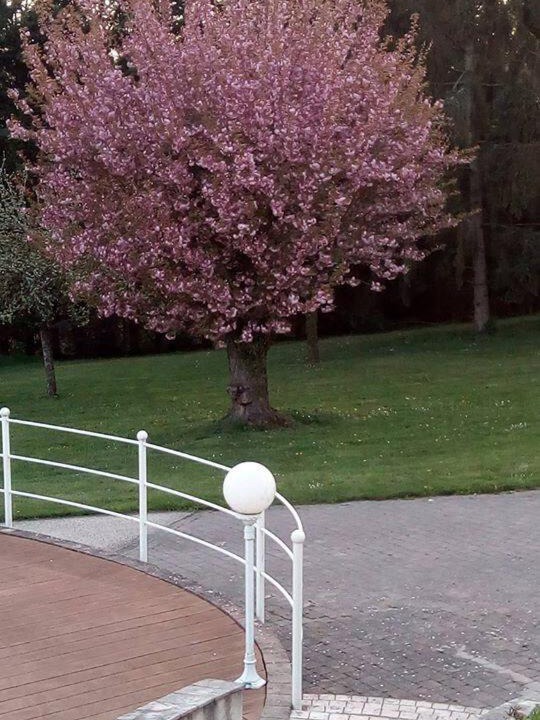 Photo of Outdoor in Us