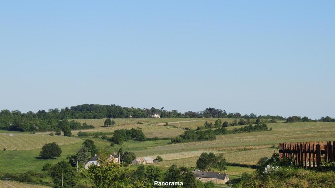 Photo of Others in Bellevigne-en-Layon