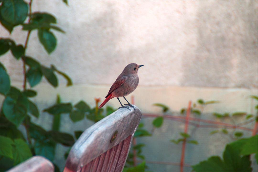 Photo of Others in La Charite-sur-Loire