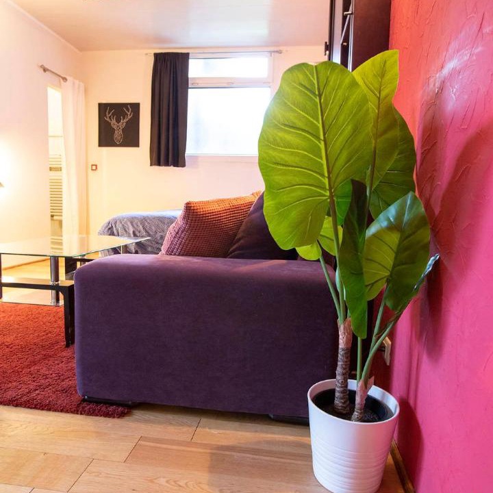 Photo of Livingroom in Colombes