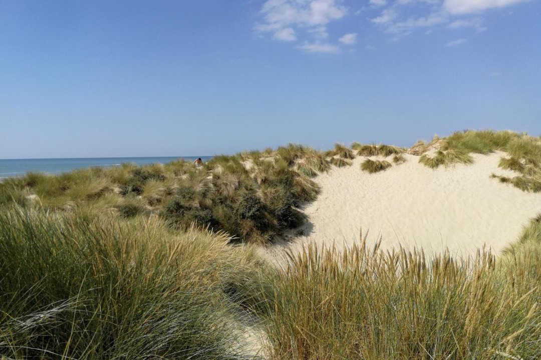 Photo of Outdoor in Le Touquet-Paris-Plage