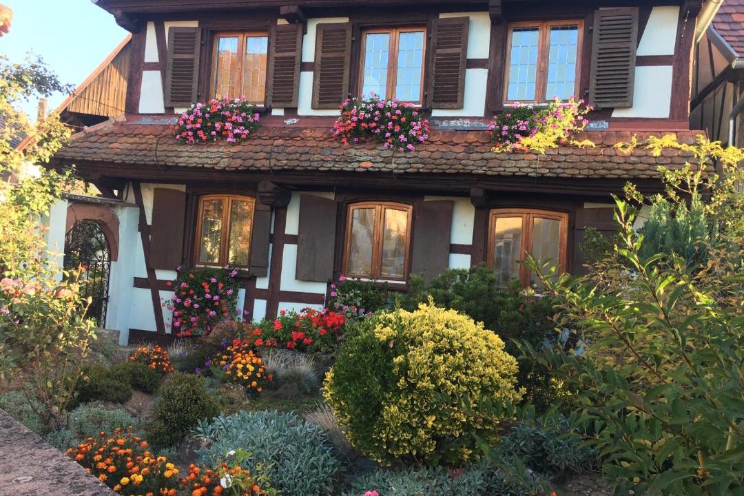 Photo of Others in Obermodern-Zutzendorf
