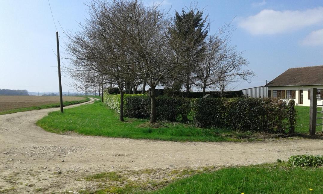 Photo of Others in Aubeguimont
