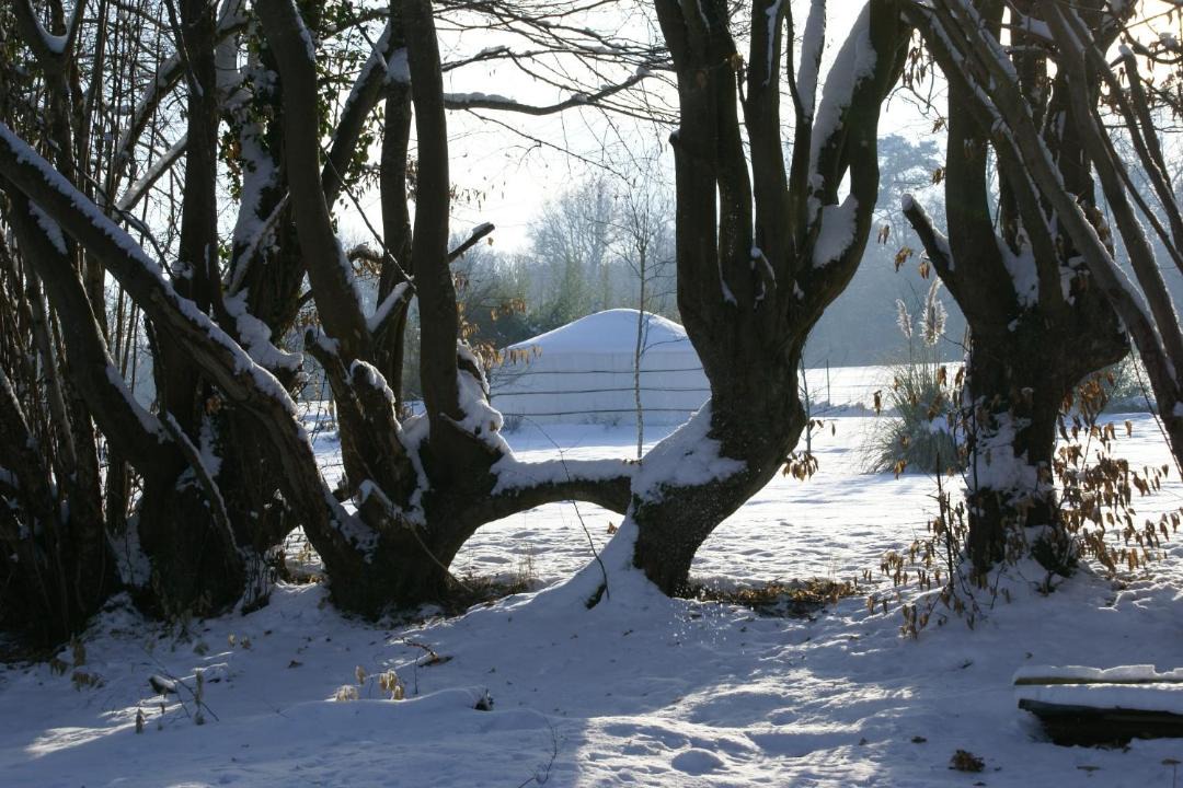 Photo of Others in Brionne
