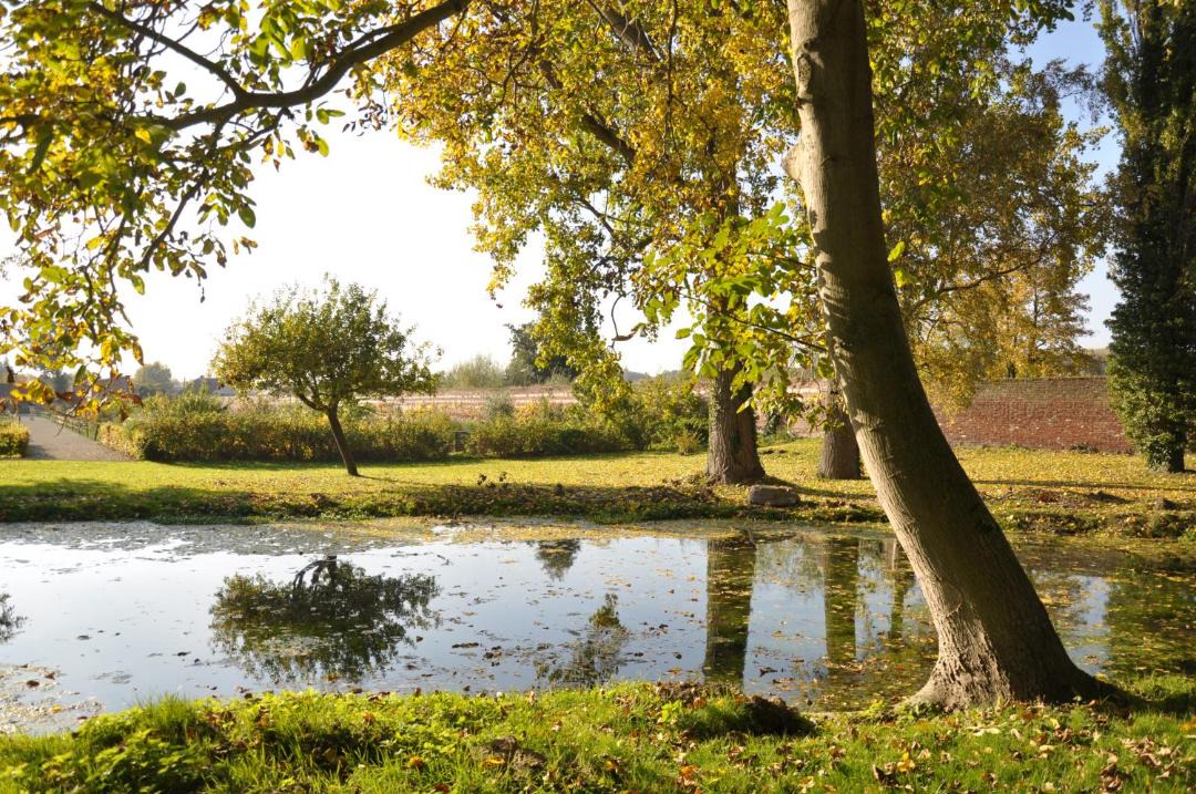 Photo of Outdoor in Gosnay