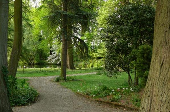 Photo of Others in Saint-Venant
