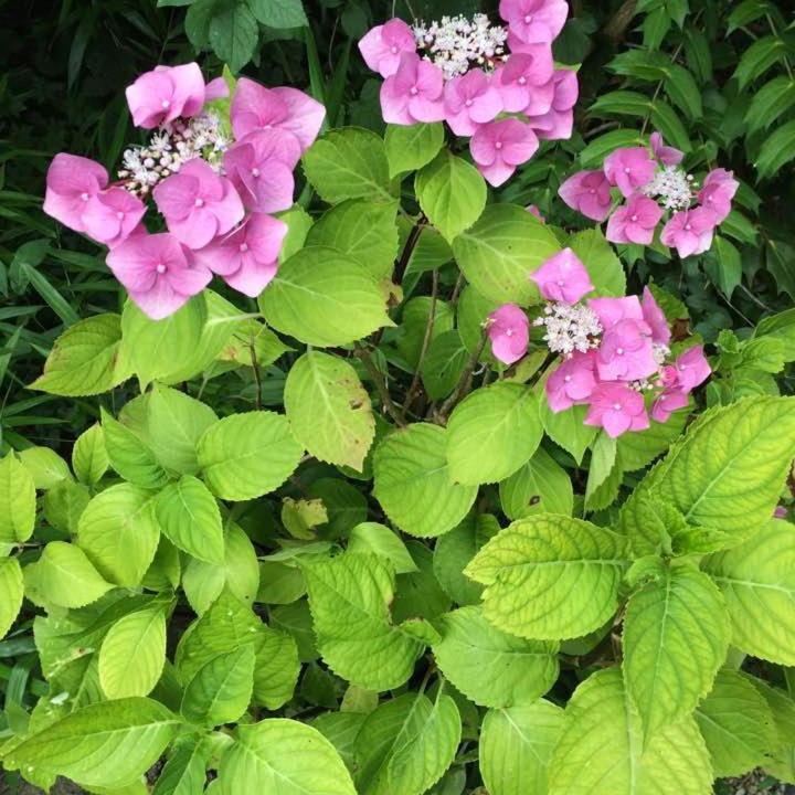 Photo of Outdoor in Senlis