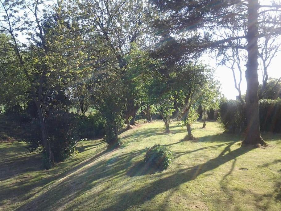 Photo of Others in Mailly-Maillet