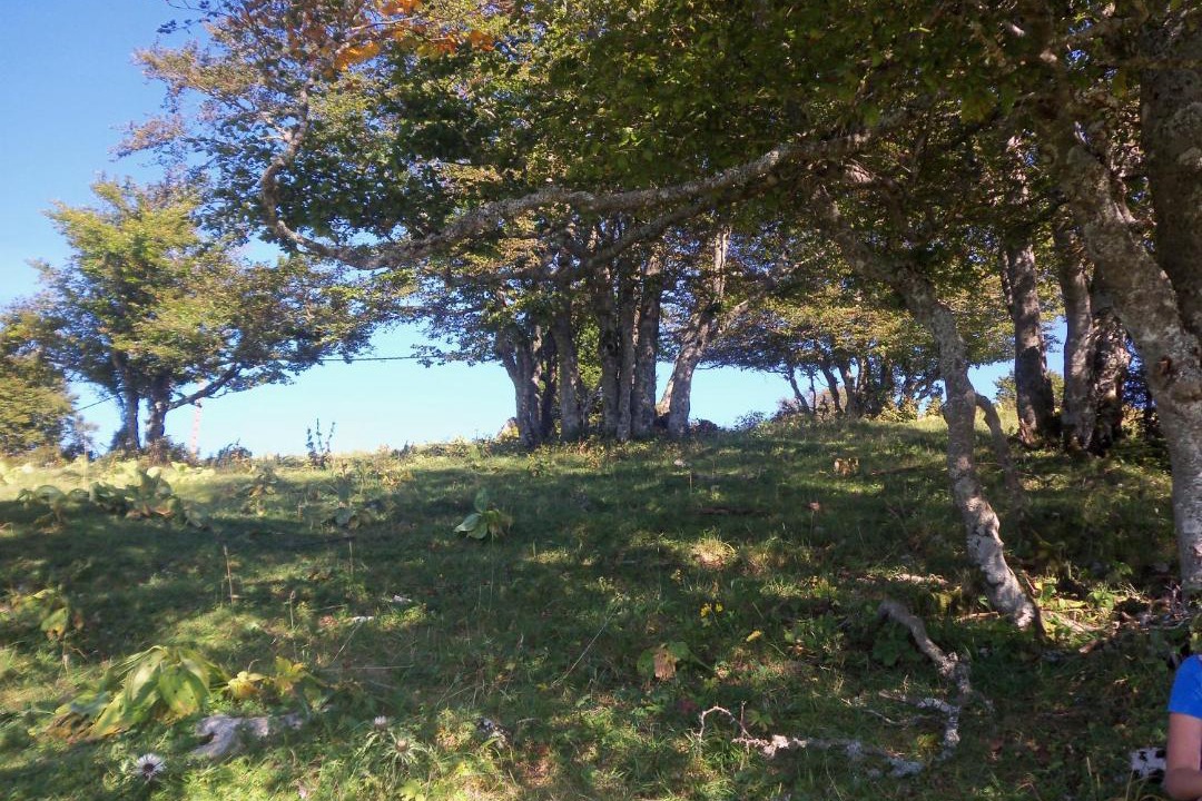 Photo of Outdoor in Mignovillard
