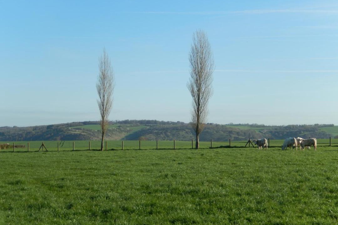 Photo of Others in Wavrans-sur-l'Aa