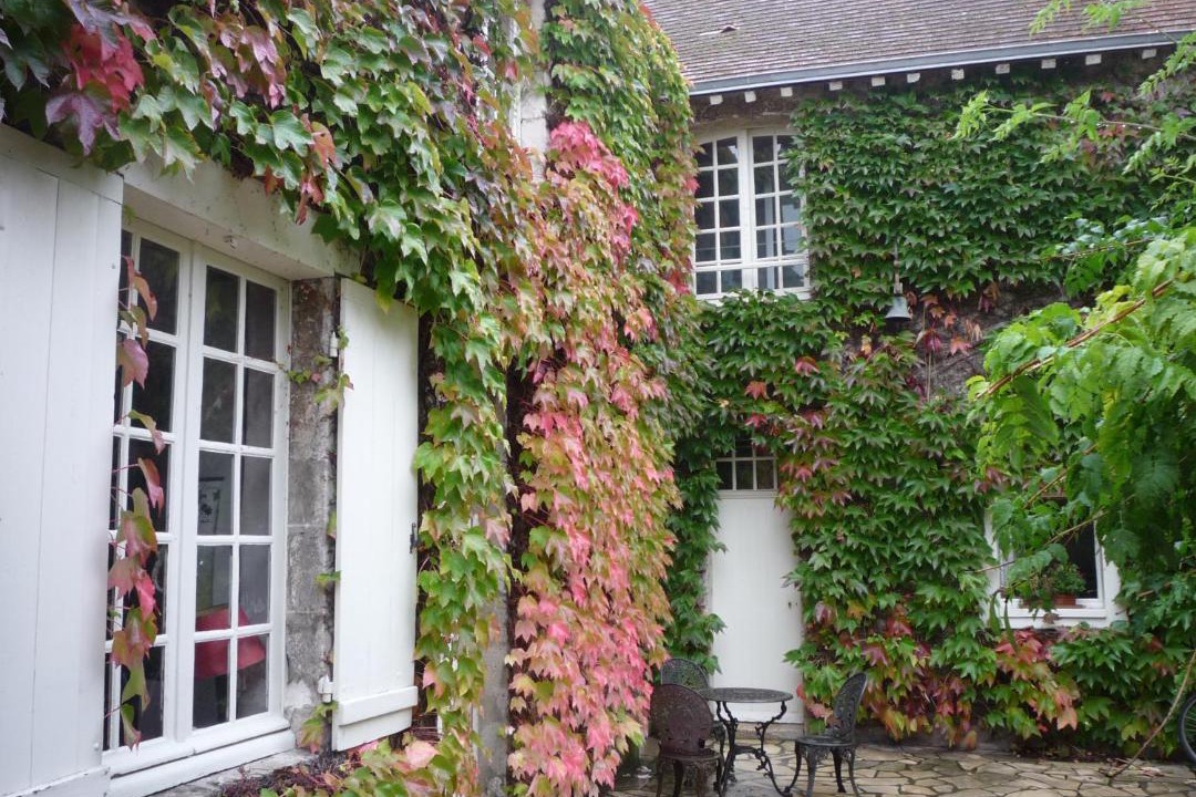 Photo of Others in Chateauneuf-sur-Loire