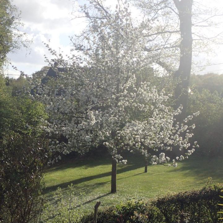 Photo of Others in Forges-les-Eaux