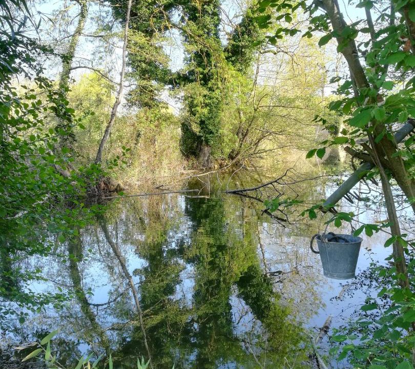 Photo of Others in Montcresson